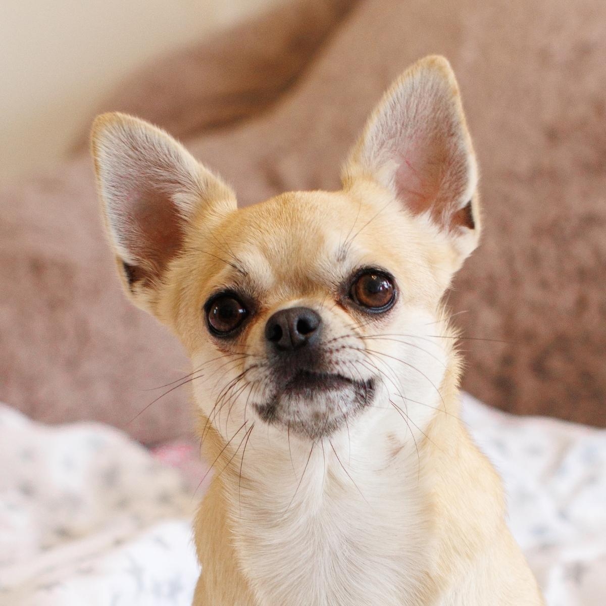 A Key to Health & Cancer Prevention